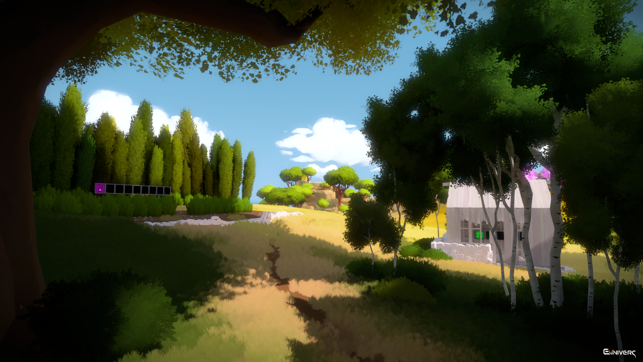 The Witness