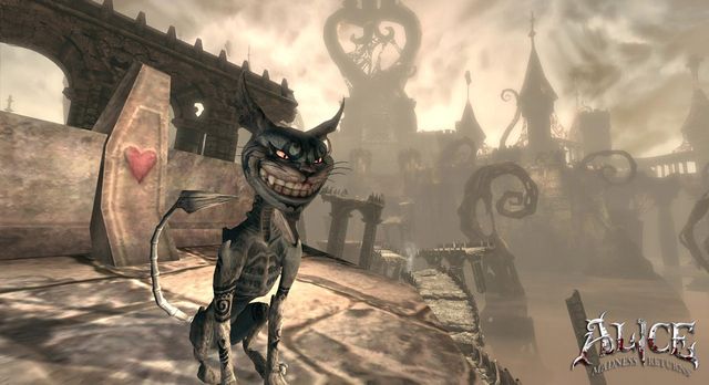 Salut le chat